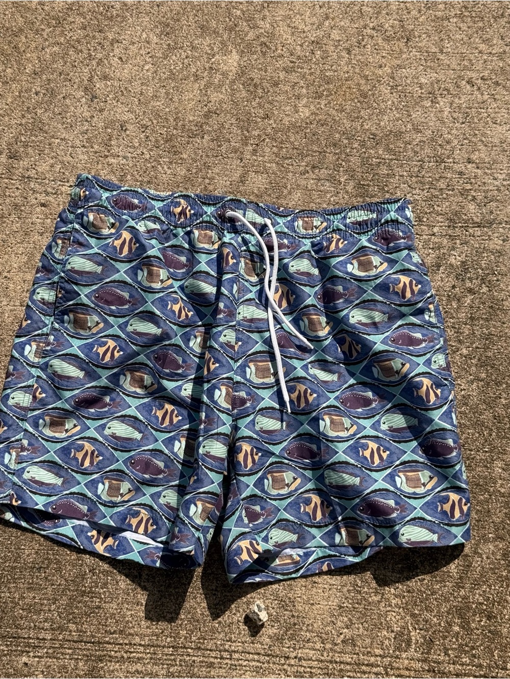 Vintage 90s Trunks
Men's Blue Fish-Print Swim Trunks